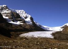 Glacier Athabasca