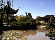 Jardin japonais de Victoria