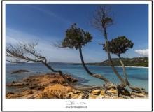 Plage de Palombaggia