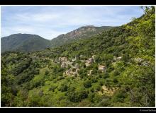 Village corse