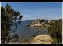 Plage de Tamariccio