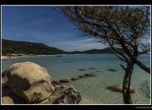 Plage de Rondinara