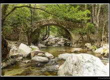 Pont de Zaglia